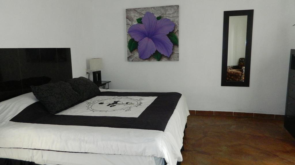 Hotel Condominium La Posada De 부세리아스 외부 사진